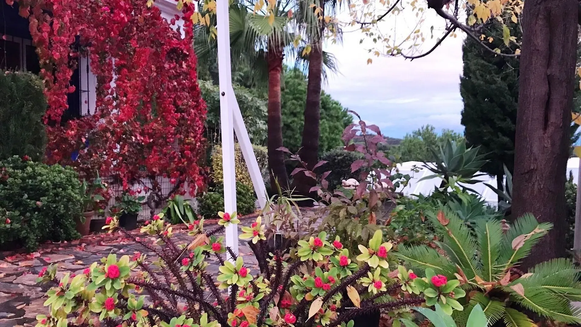 Villa With 4 Rooms In Estepona, Malaga, With Wonderful Sea View, Priva Spain